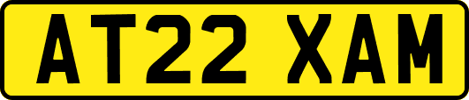 AT22XAM