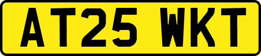 AT25WKT