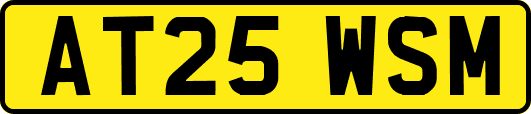 AT25WSM