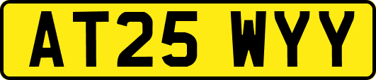 AT25WYY