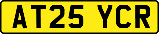 AT25YCR