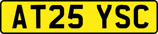 AT25YSC