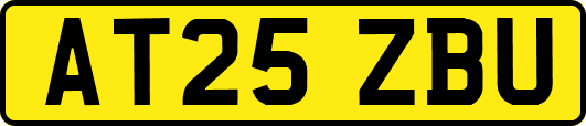 AT25ZBU