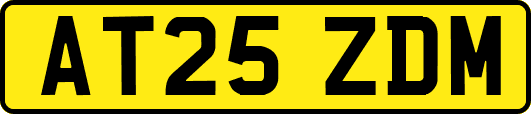 AT25ZDM