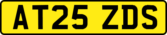 AT25ZDS