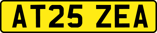 AT25ZEA