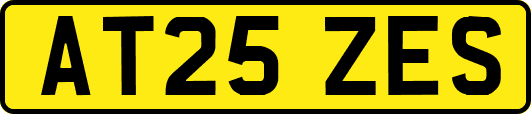 AT25ZES
