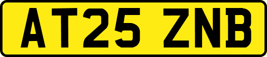 AT25ZNB