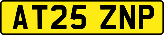 AT25ZNP
