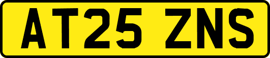 AT25ZNS