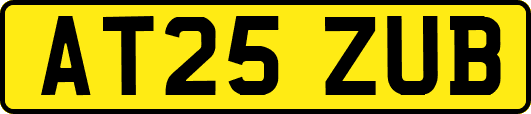 AT25ZUB