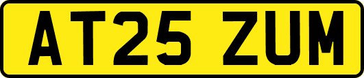 AT25ZUM