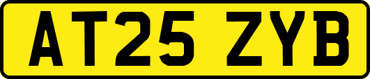 AT25ZYB