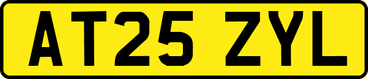 AT25ZYL