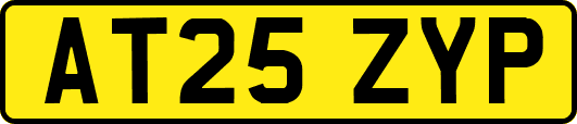 AT25ZYP