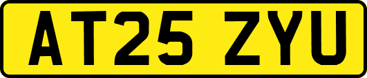AT25ZYU