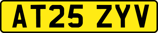AT25ZYV