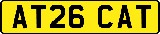 AT26CAT