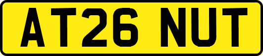 AT26NUT