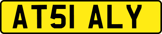 AT51ALY