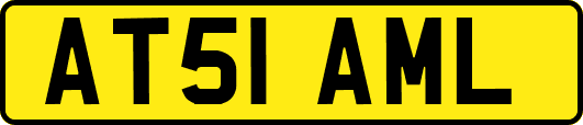 AT51AML