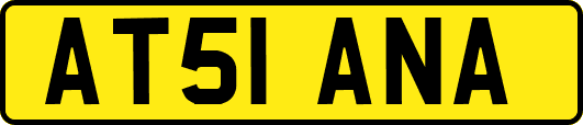 AT51ANA