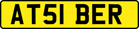 AT51BER