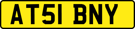 AT51BNY