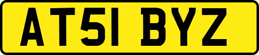 AT51BYZ