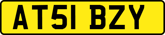 AT51BZY