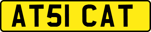 AT51CAT