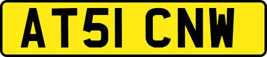 AT51CNW