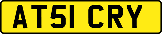 AT51CRY