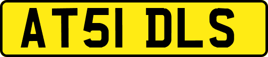 AT51DLS