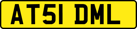 AT51DML