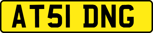 AT51DNG