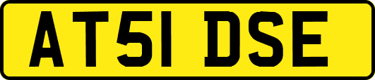 AT51DSE