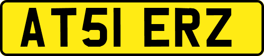 AT51ERZ