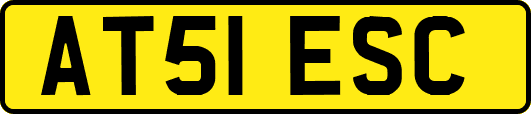 AT51ESC