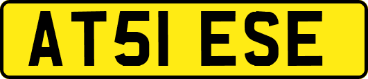 AT51ESE