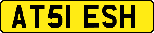 AT51ESH