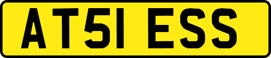 AT51ESS