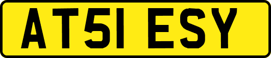 AT51ESY