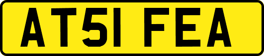 AT51FEA