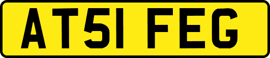 AT51FEG