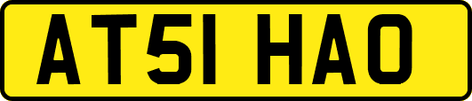 AT51HAO