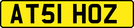 AT51HOZ