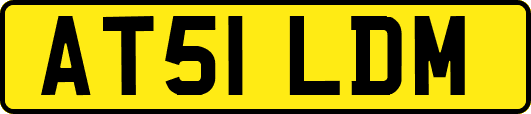 AT51LDM