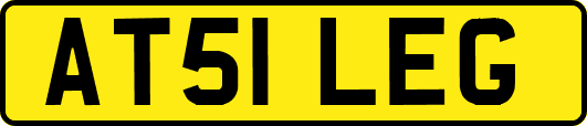 AT51LEG