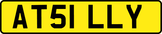 AT51LLY